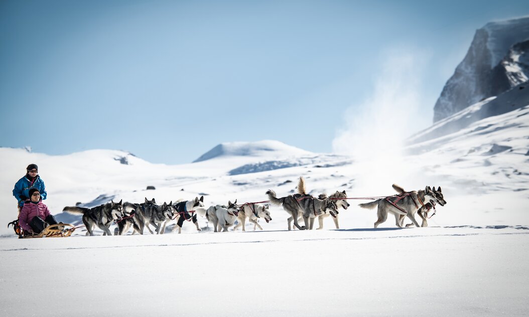Huskies bringen dich durch die Berglandschaft Huskies ziehen Schlitten durch die Berglandschaft