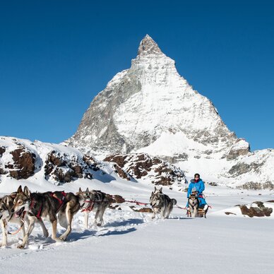 Huskies ziehen Schlitten mit Matterhorn im Hintergrund