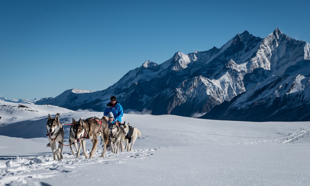 Erlebnis mit Aussicht auf 4000er Berggipfel  Huskies ziehen Schlitten mit Bergen im Hintergrund
