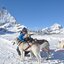 Winterbergwelt - Wohlfühlzone der Huskies  Huskies mit ihrer Führerin vor dem Matterhorn