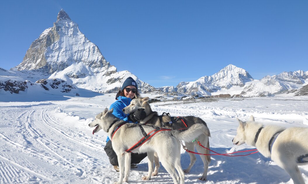 Winterbergwelt - Wohlfühlzone der Huskies  Huskies mit ihrer Führerin vor dem Matterhorn