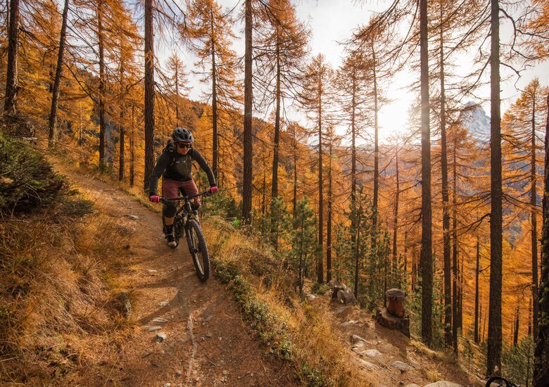 © Pascal Gertschen © Pascal Gertschen