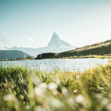 Matterhornblick von den grünen Ufern des Stellisee | © Marco Schnyder